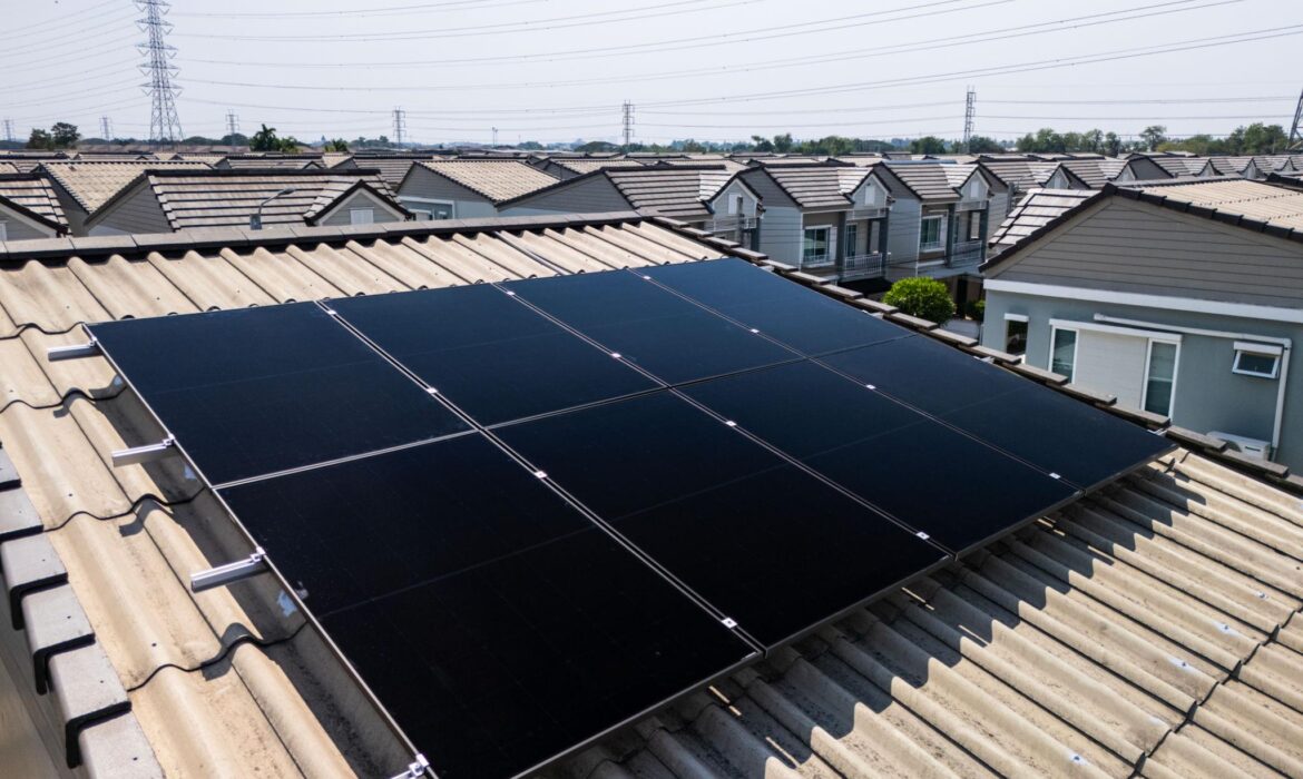 OUR PROJECTS
